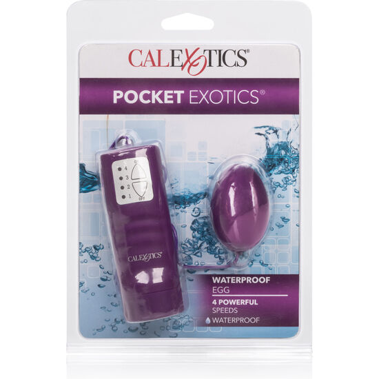 CALIFORNIA EXOTICS - POCKET EXOTICS OEUF IMPERMÉABLE VIOLET 4V